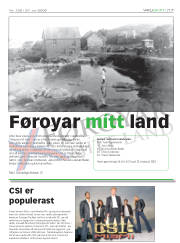 Síða 17