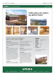Síða 19