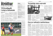 Síða 7