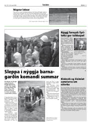 Síða 11