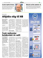 Síða 17