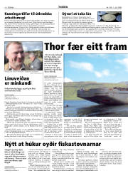 Síða 18