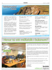 Síða 24