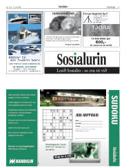 Síða 31