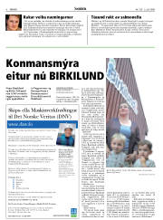 Síða 6