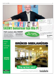 Síða 29