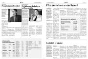 Síða 6