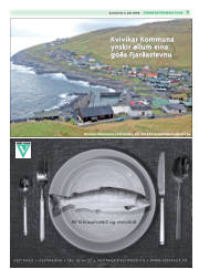 Síða 27