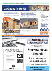 Síða 30