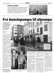 Síða 21