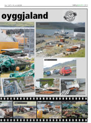 Síða 11