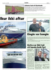 Síða 3