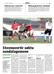 Síða 17