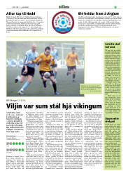 Síða 19