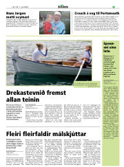 Síða 21