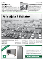 Síða 8