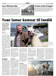 Síða 10