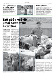 Síða 11