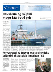 Síða 17