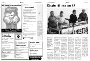 Síða 6