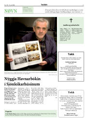 Síða 17