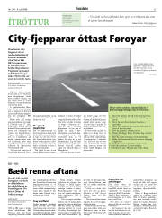 Síða 31