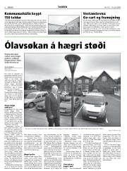 Síða 8