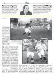 Síða 20