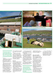 Síða 29