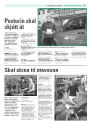 Síða 33