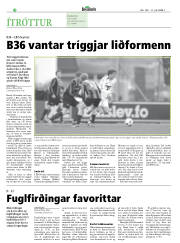 Síða 18