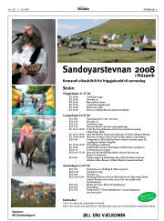 Síða 21