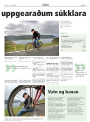 Síða 25