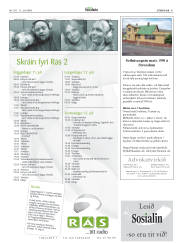 Síða 41