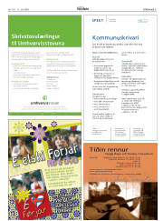 Síða 31