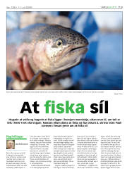 Síða 17