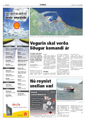 Síða 6