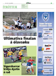 Síða 15