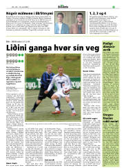 Síða 17
