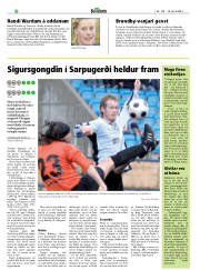 Síða 20