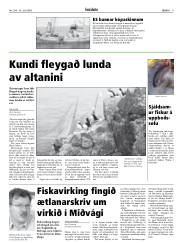 Síða 9
