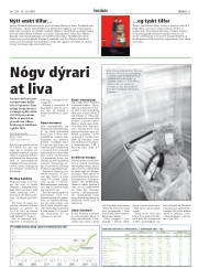 Síða 11