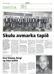 Síða 33