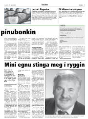 Síða 9