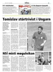 Síða 41