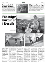 Síða 11