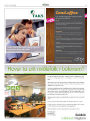 Síða 31