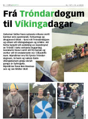 Síða 6