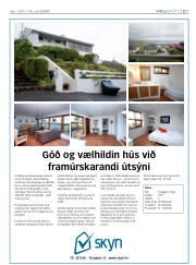 Síða 21