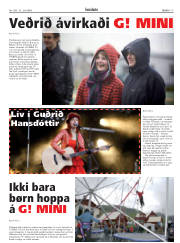 Síða 17